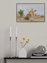 Chasing Poster och Canvastavla