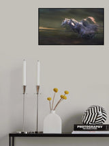 sequence of the gallop Poster och Canvastavla