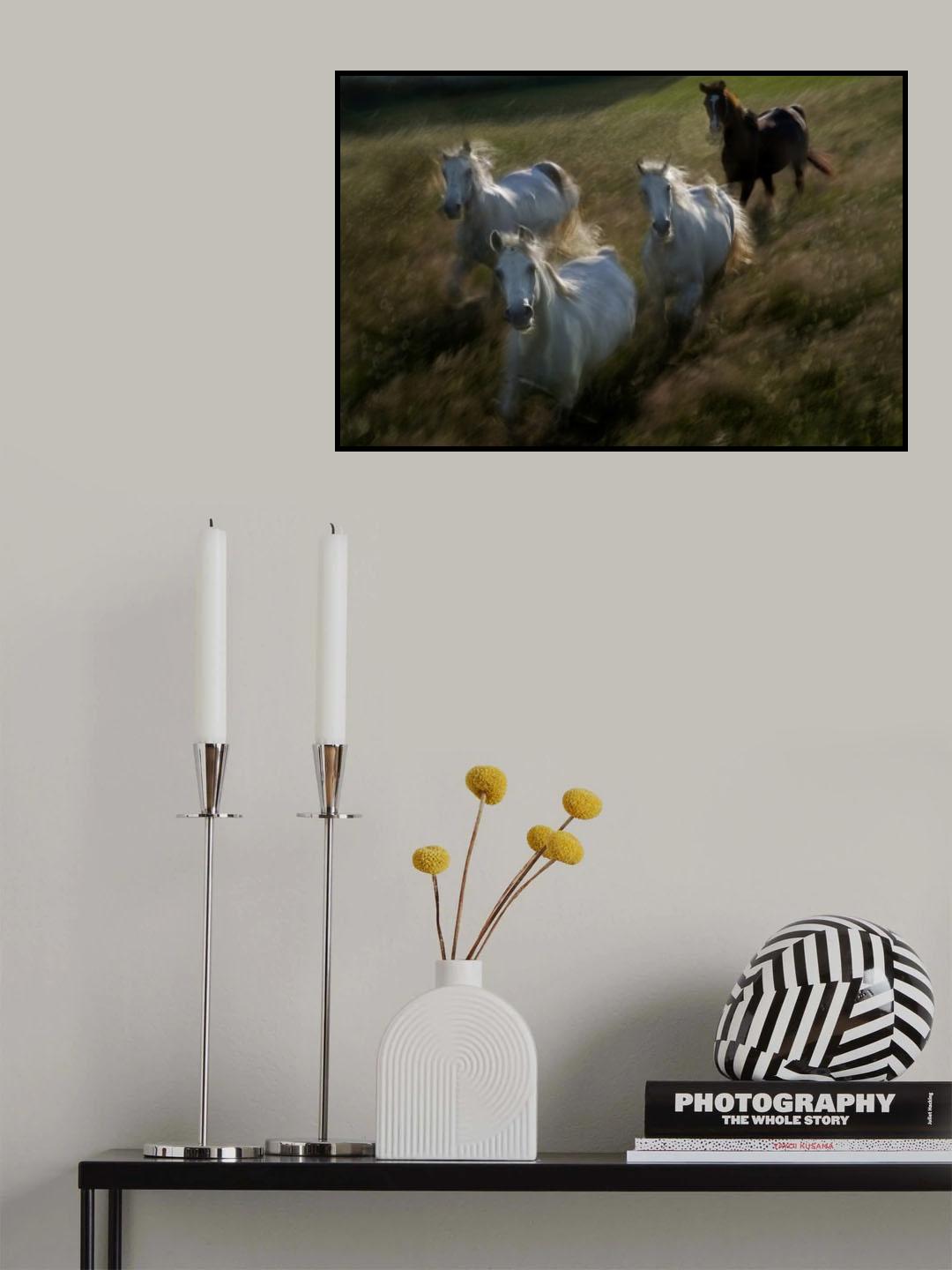 Gallop in Poster och Canvastavla