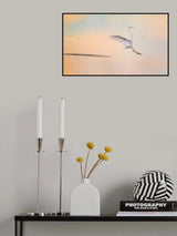 Poster och Canvastavla