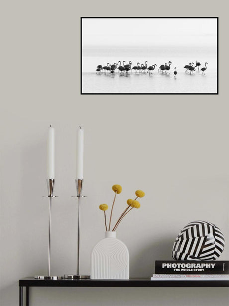 Flamingos Poster och Canvastavla