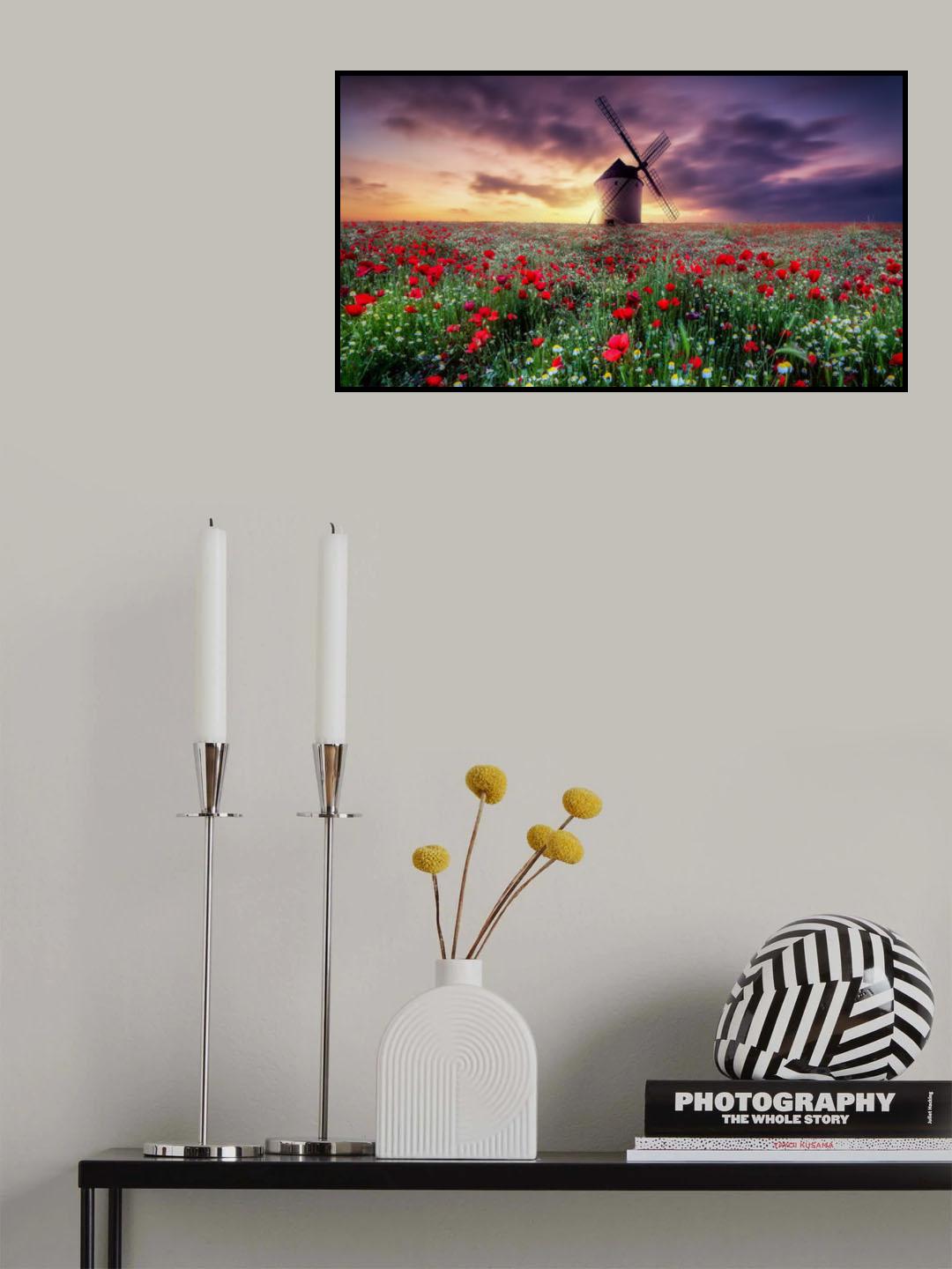 spring by the windmill Poster och Canvastavla