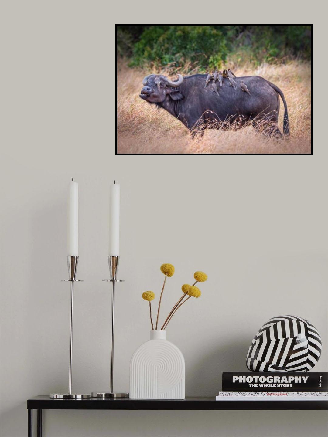 Symbiotic annoyance Poster och Canvastavla