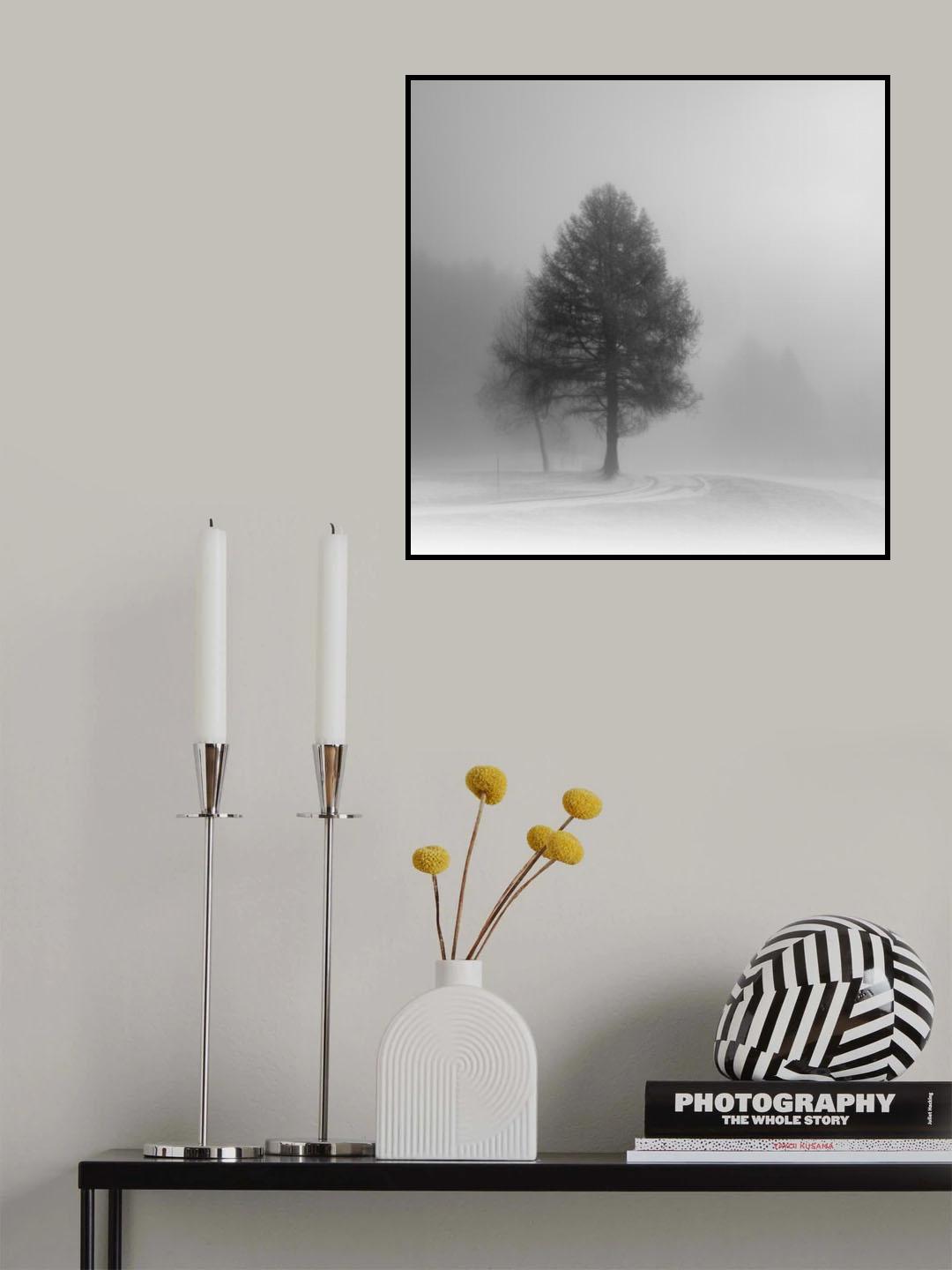 winter on its way Poster och Canvastavla
