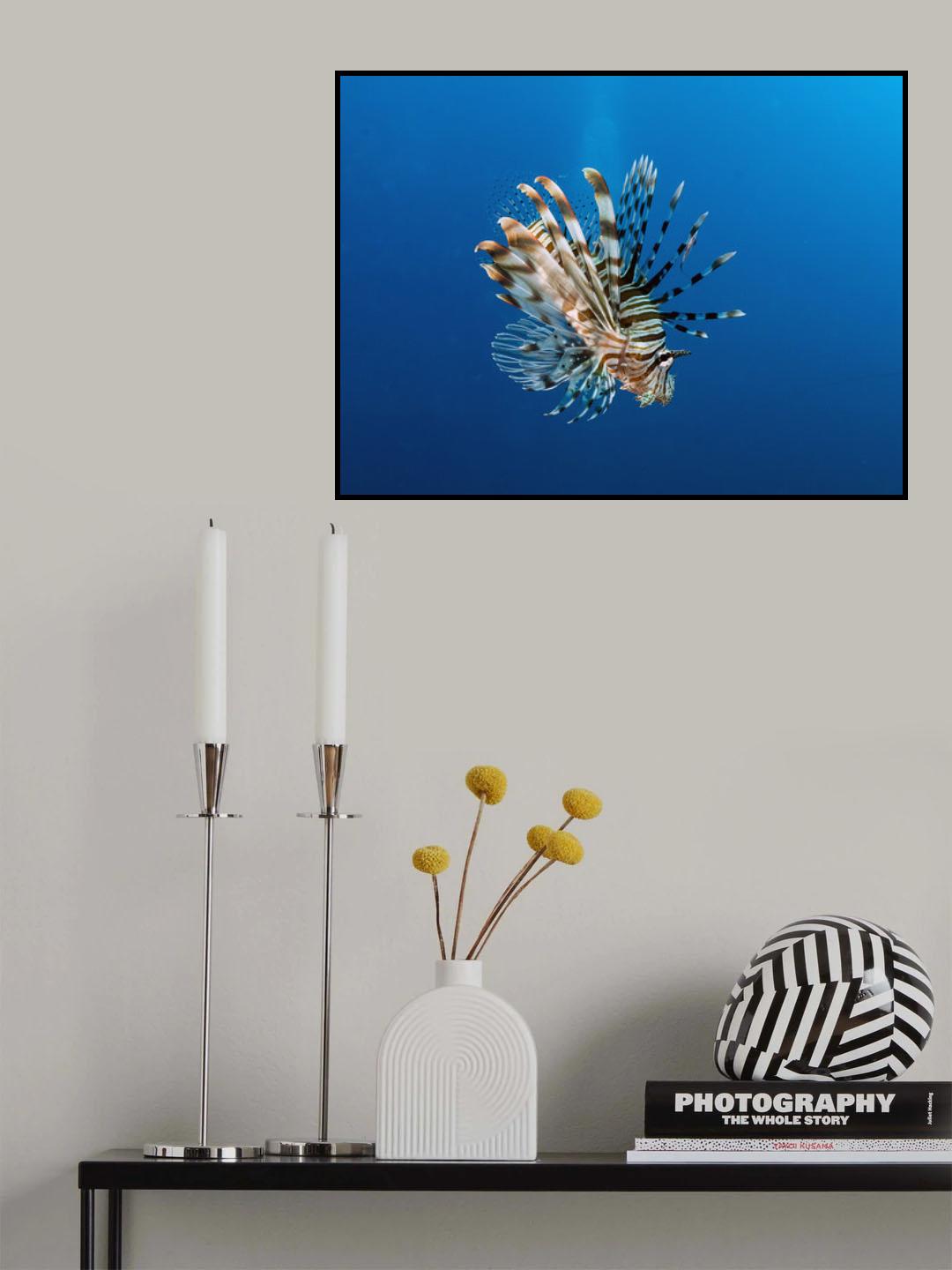 Lionfish Poster och Canvastavla