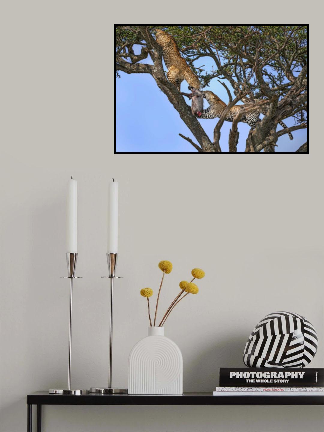 Fighting for food Poster och Canvastavla