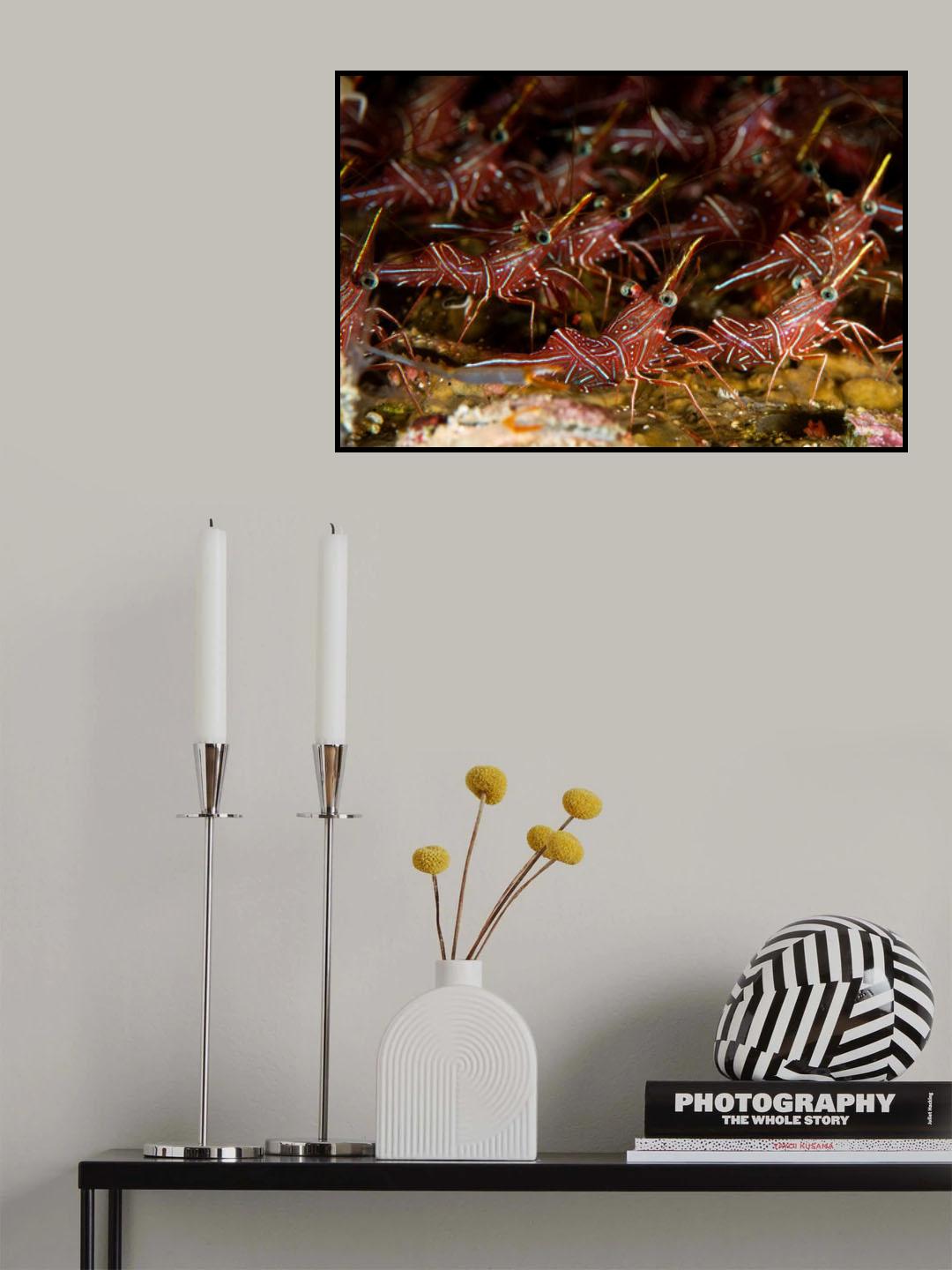 We are family Poster och Canvastavla