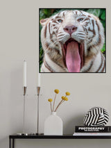 Yawn Poster och Canvastavla
