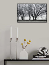 january Poster och Canvastavla