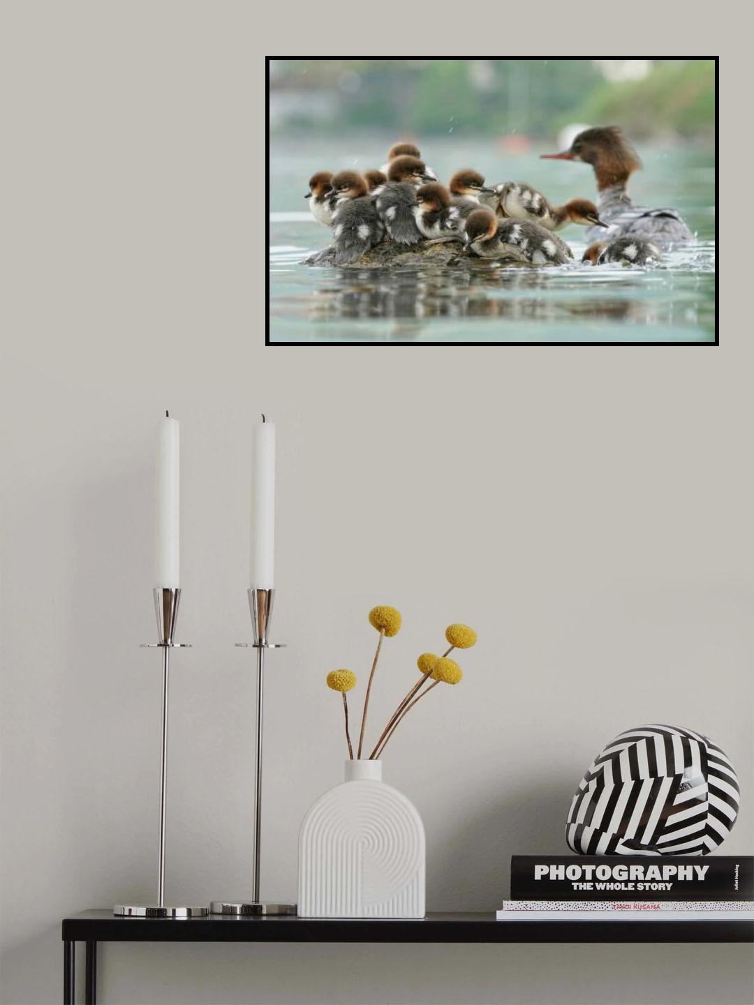 Smergo Maggiore Poster och Canvastavla
