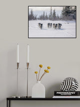 Pack of cloud wolves Poster och Canvastavla