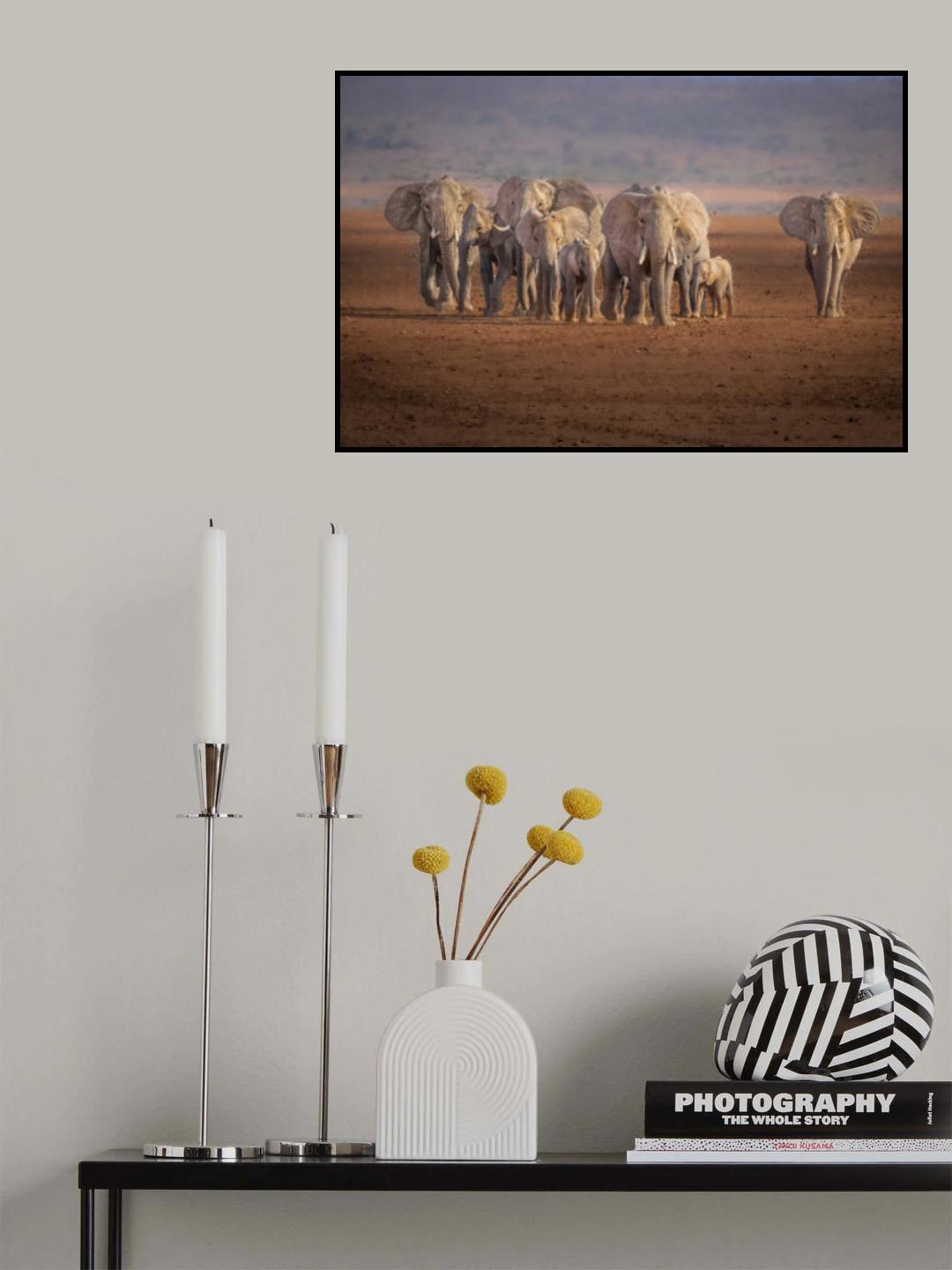 The trek toward survivial Poster och Canvastavla