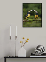 Crossing swords?? Poster och Canvastavla