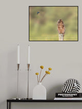 Go Away Please Poster och Canvastavla
