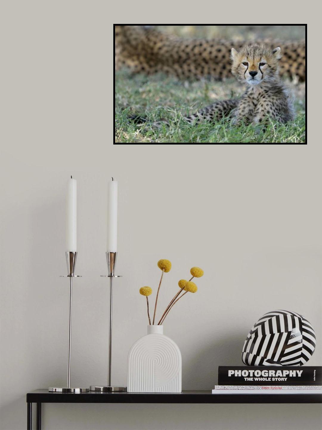 Puppie Poster och Canvastavla