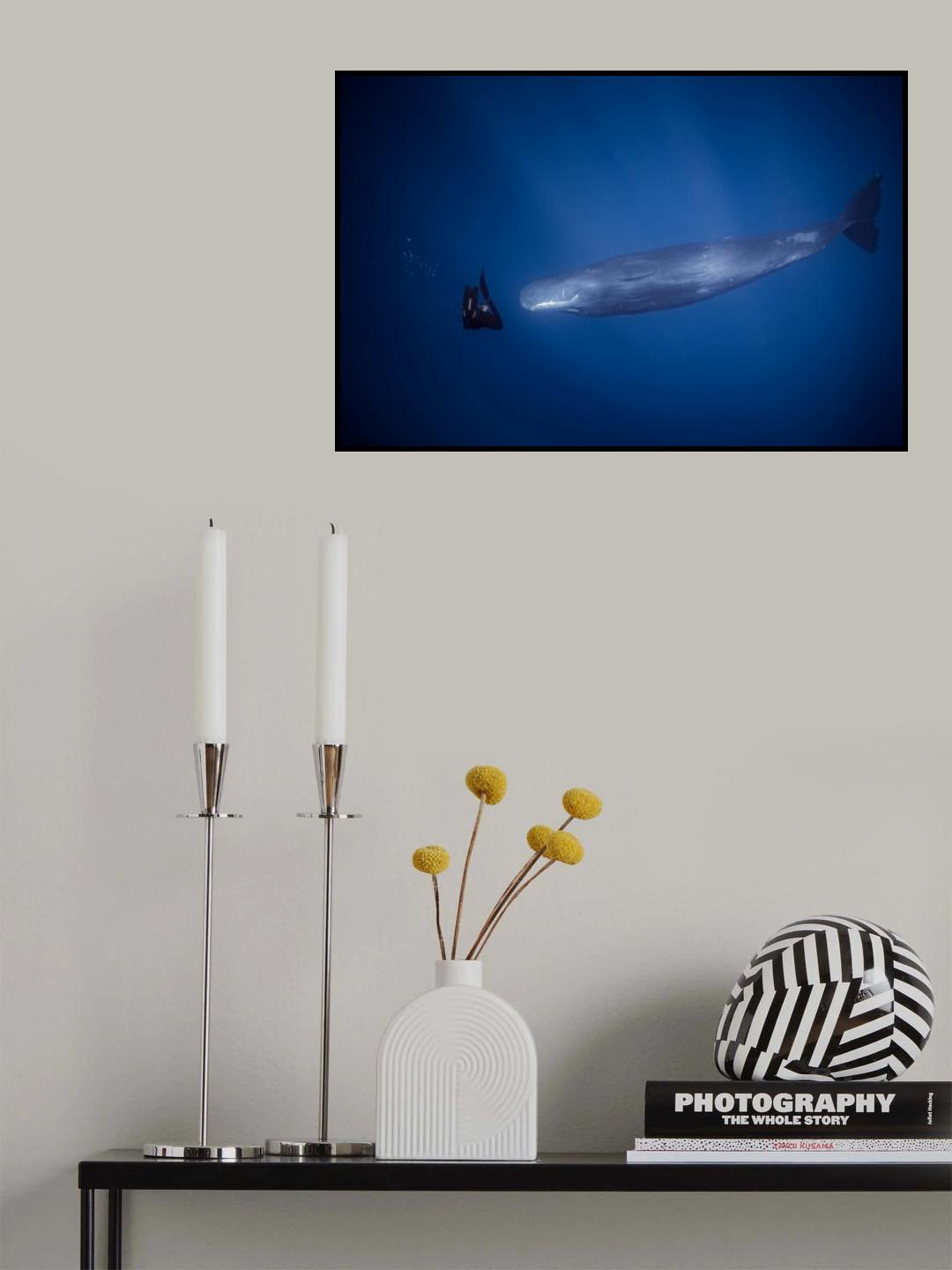 encounter with sperm whales. Poster och Canvastavla