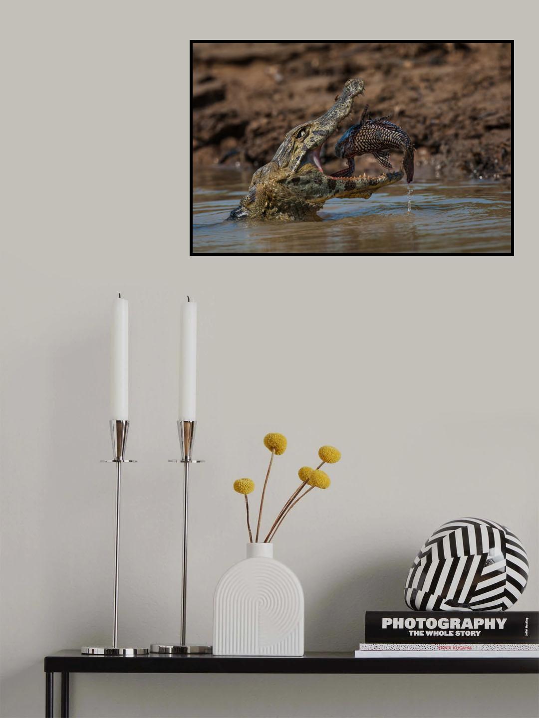Carpe diem Poster och Canvastavla