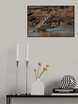 Carpe diem Poster och Canvastavla