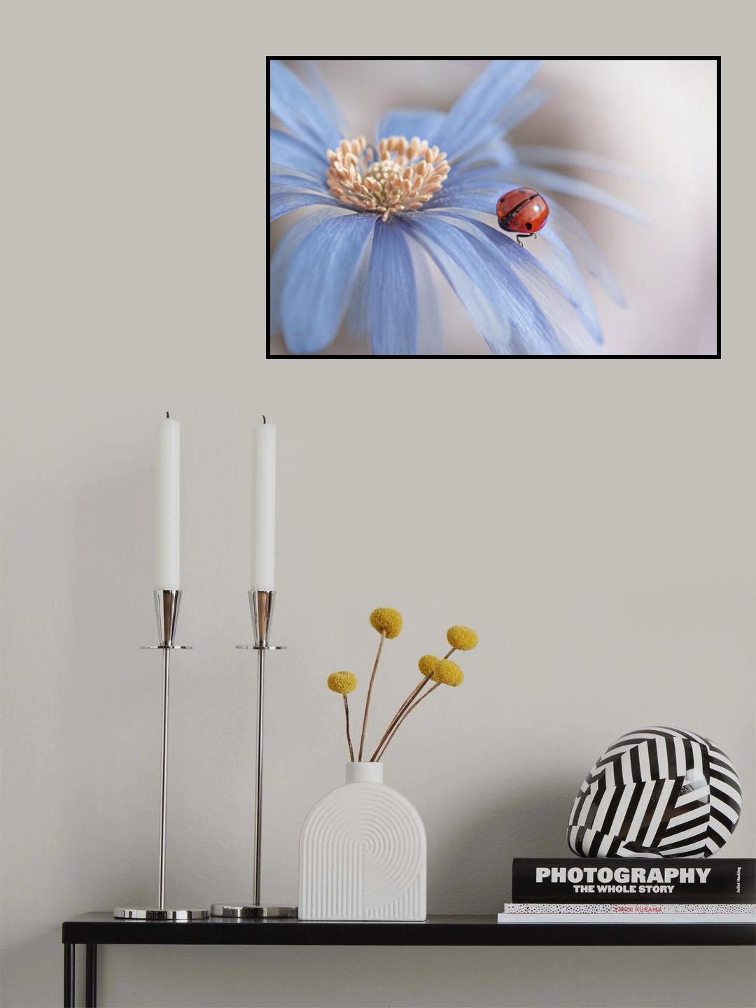 Lady in waiting Poster och Canvastavla