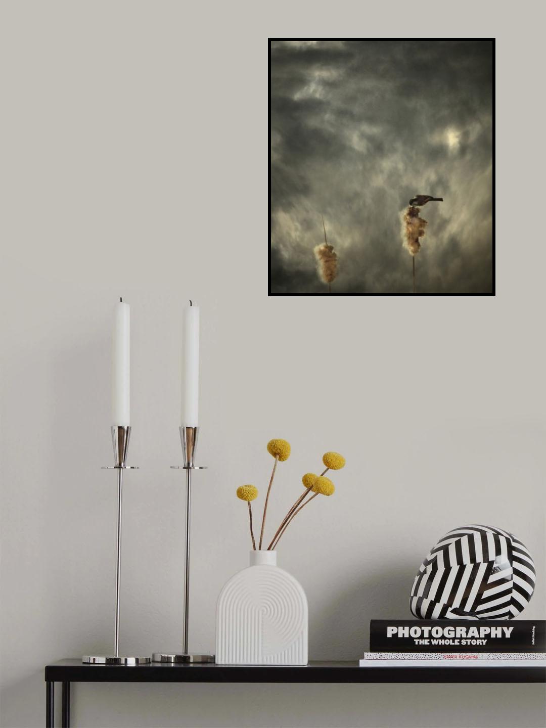 Roost Poster och Canvastavla