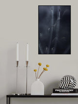 Poster och Canvastavla