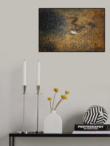 Poster och Canvastavla