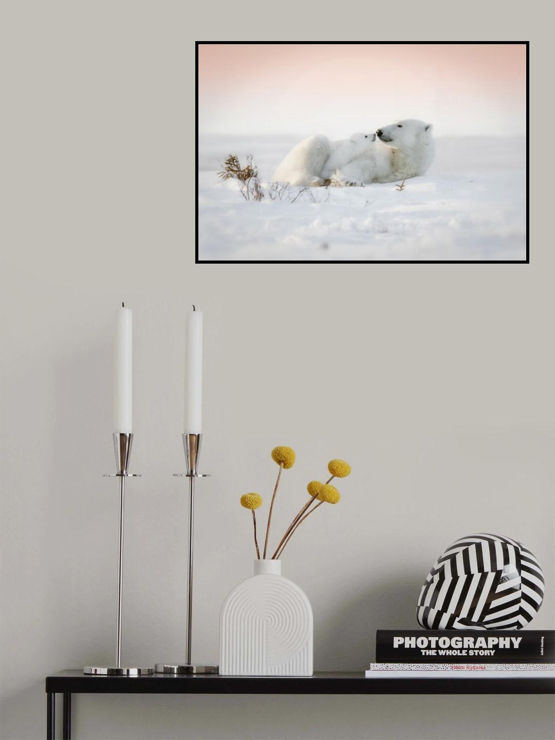 Kisses Poster och Canvastavla