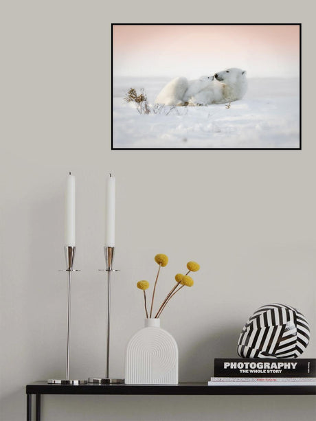 Kisses Poster och Canvastavla