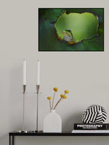 observation Poster och Canvastavla