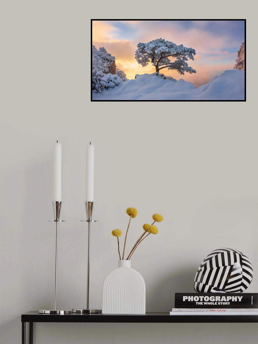 Cold loner Poster och Canvastavla