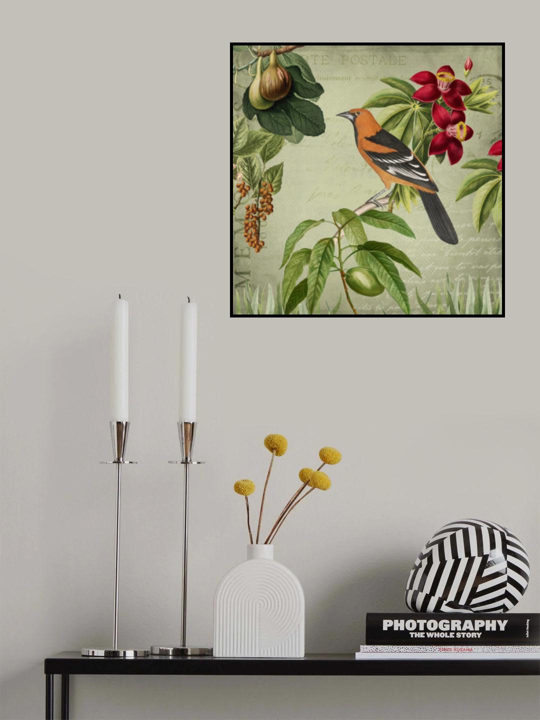 Vintage Birds Poster och Canvastavla