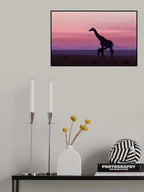 Good morning Masai Mara 7 Poster och Canvastavla