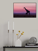 Good morning Masai Mara 7 Poster och Canvastavla