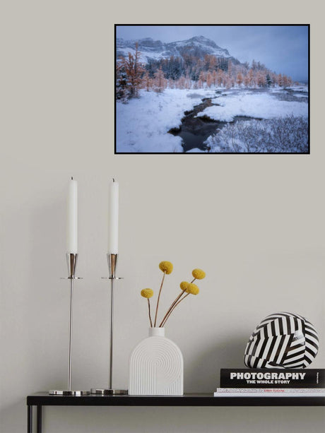 Tranquil Reflection Poster och Canvastavla