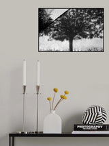Ombre Poster och Canvastavla