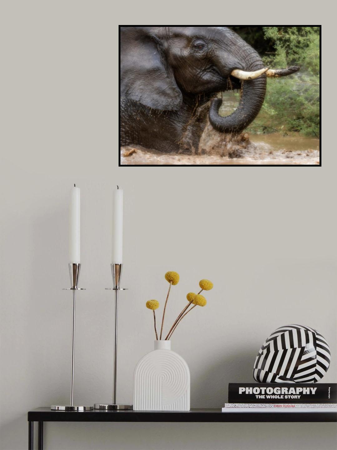 '...playful in the water...' Poster och Canvastavla