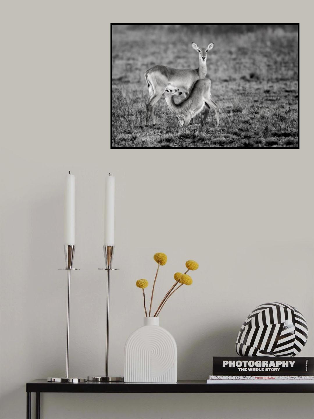 Tender moments Poster och Canvastavla