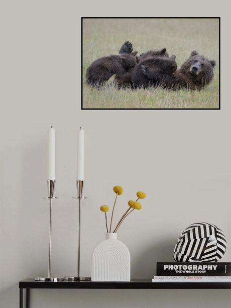 Nursing Mama Bear with Triplets Poster och Canvastavla