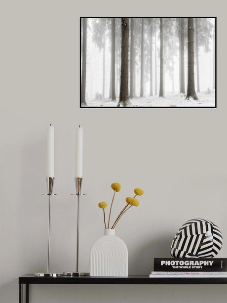 Winter Forest Poster och Canvastavla
