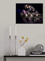 Walnut Sweets Poster och Canvastavla