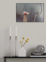 Snail On Nephentes Plant Poster och Canvastavla