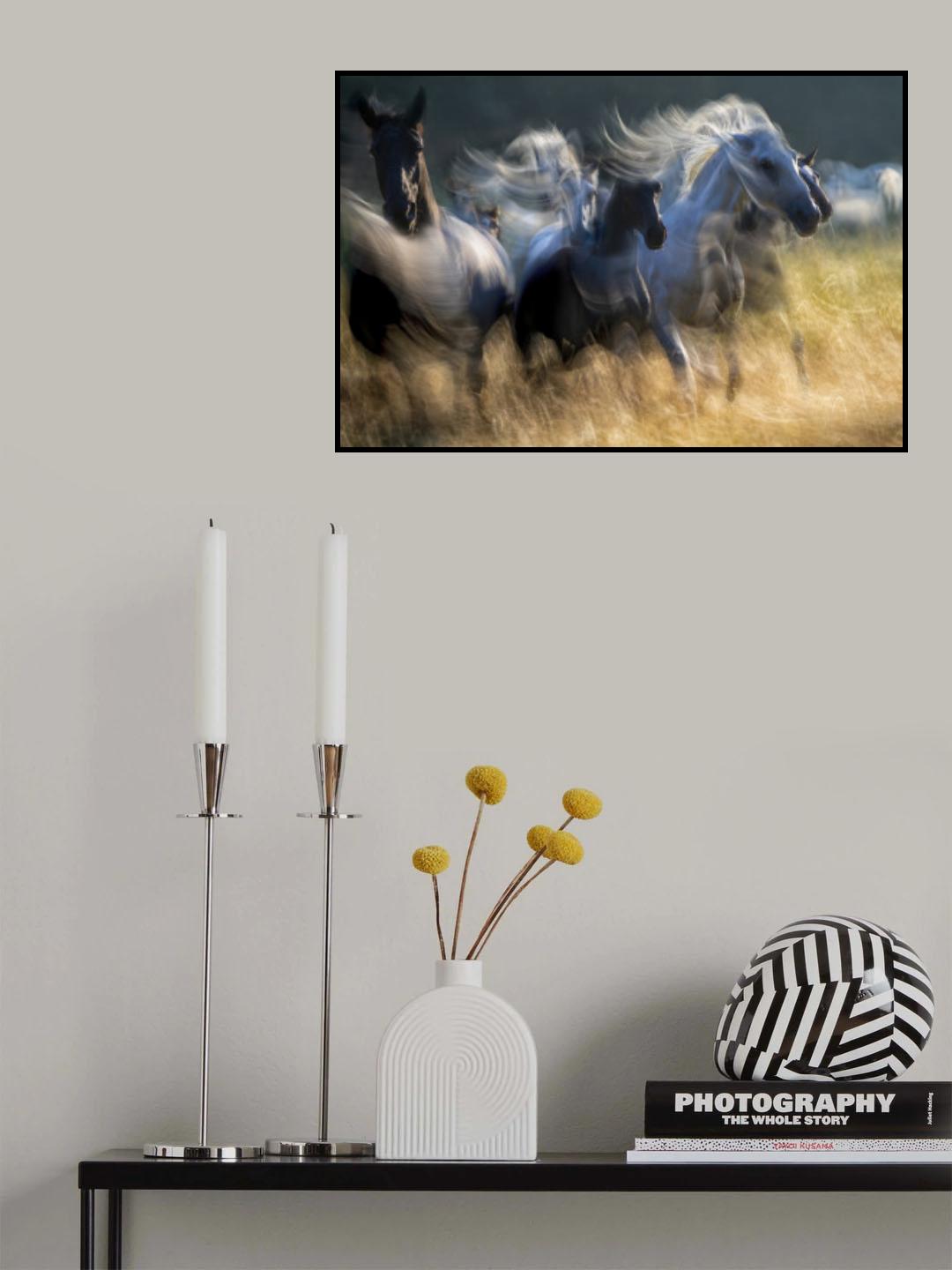 in akcion Poster och Canvastavla