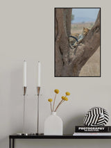 Relax Poster och Canvastavla