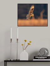 Searching Poster och Canvastavla
