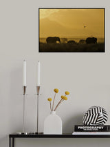 Peace Poster och Canvastavla
