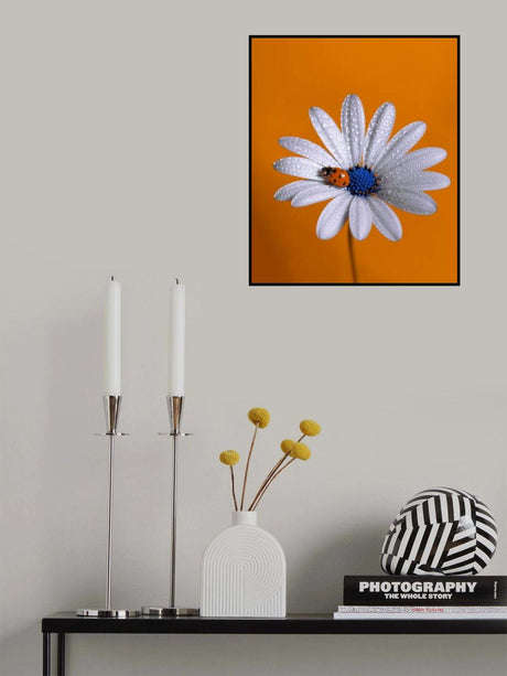 Ladybug Poster och Canvastavla