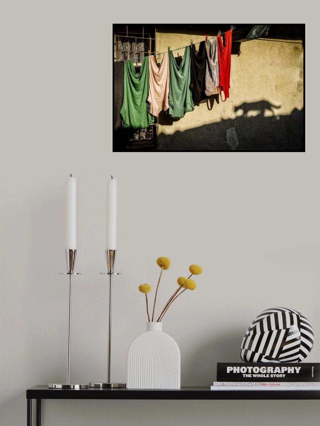 Shadow Cat Poster och Canvastavla