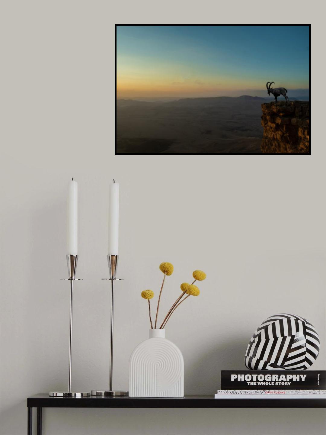 A deer on a clif in Poster och Canvastavla