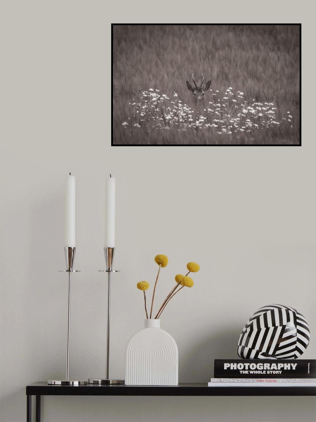 Hidden behind flowers Poster och Canvastavla