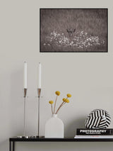 Hidden behind flowers Poster och Canvastavla